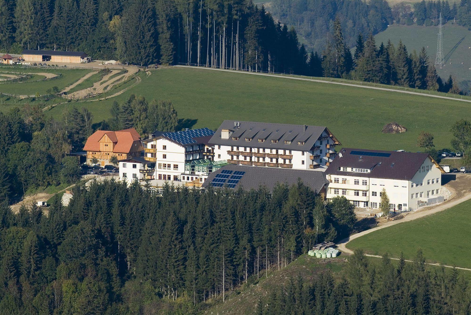 Hotel Moselebauer Bad St. Leonhard im Lavanttal Exterior foto